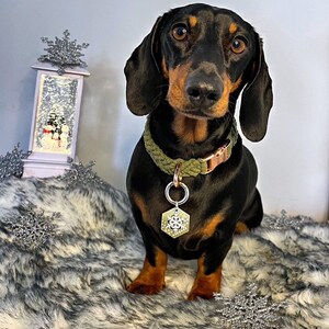 May include: A black and tan dachshund wearing a green and brown rope collar with a snowflake charm. The dog is sitting on a white and gray faux fur rug with silver snowflake decorations.
