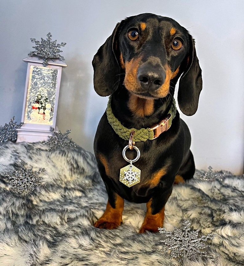 May include: A black and tan dachshund wearing a green and brown rope collar with a snowflake charm. The dog is sitting on a white and gray faux fur rug with silver snowflake decorations.