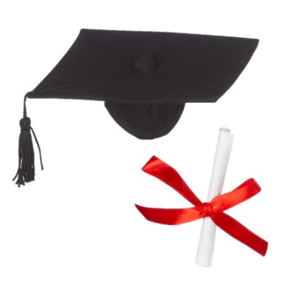 Graduation Cap & Diploma-accessory for stuffed animals