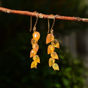 Vine Drop Yellow Sapphire 18k Gold Vermeil Earring Danglers • Natural Gemstone Earring for her • Unique Rare Gemstone Earrings for women