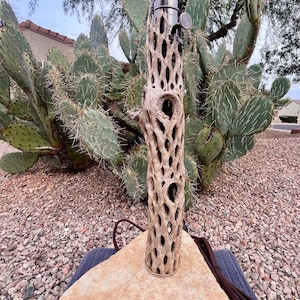 May include: A unique table lamp featuring a natural cholla cactus stem with a stainless steel lamp head. The lamp is mounted on a beige stone base and has a brown electrical cord. The background includes a prickly pear cactus.