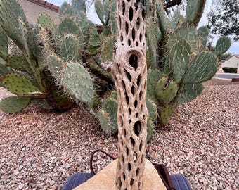 Cholla Cactus Shell Lamp With Desert Sandstone Rock Base, Arizona