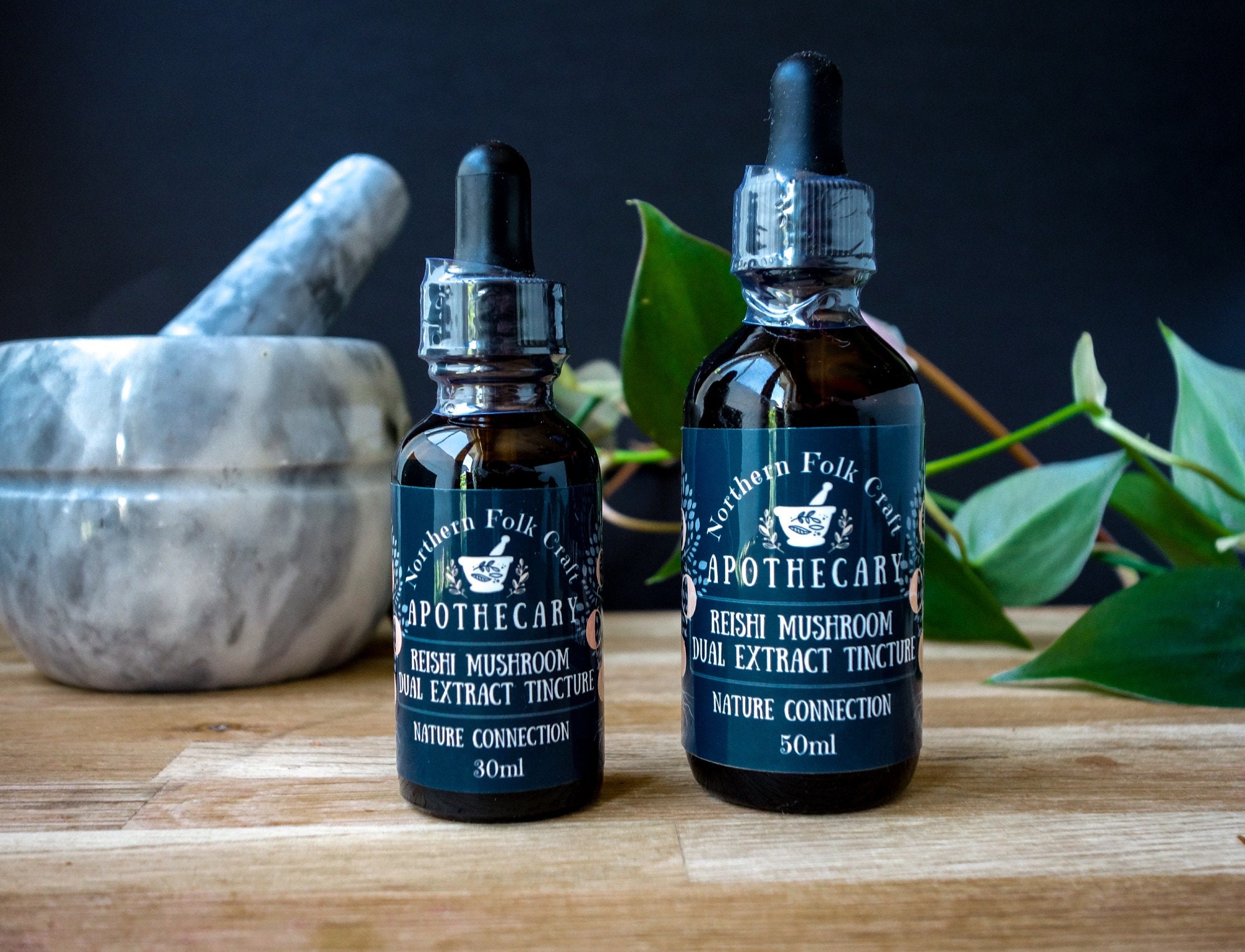 30 ml Reishi Mushroom Dual Extract Tincture Adaptogen Etsy