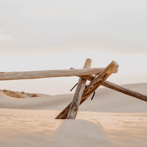 Desert Logs Digital