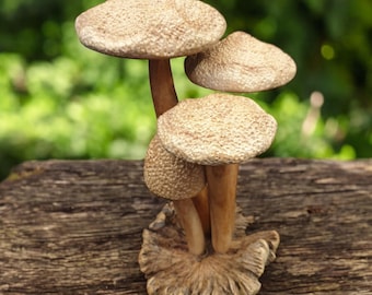 Wooden Mushroom Sculpture – Artisan Carving on Natural Parasitic Wood Base