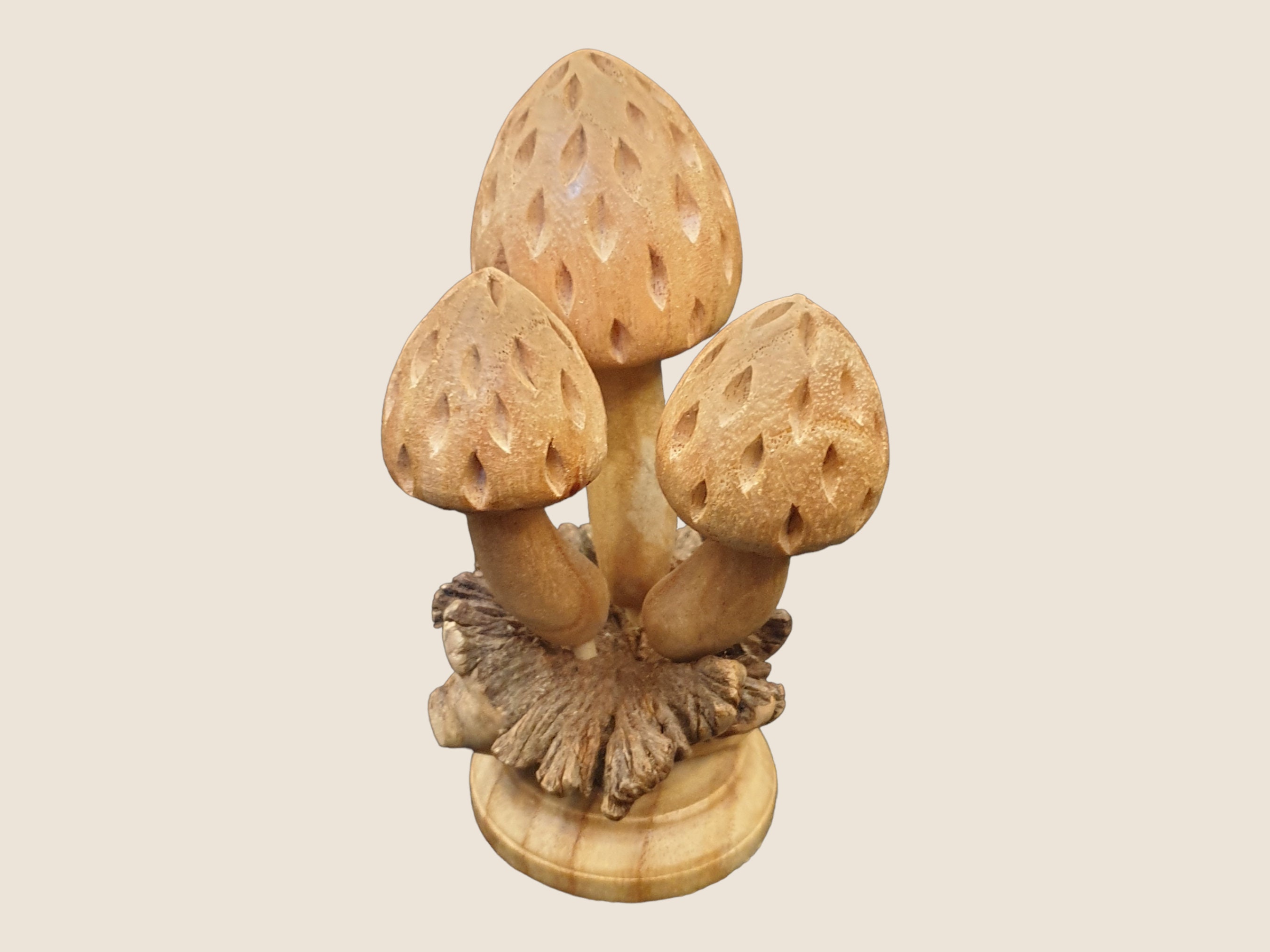 Wooden Mushrooms with parasite wood