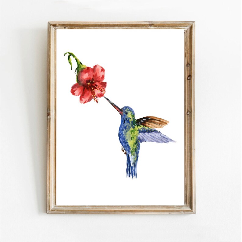 Hummingbird Wall Decor, Nursery Bird Art, Blue Wall Decor, Red Flower Wall Art Watercolor Painting Bird Illustration Print Animal Watercolor image 1