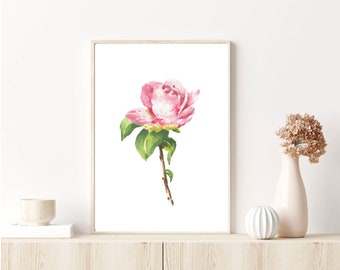 Blush Pink Rose Painting, Large Artwork, Fine Art Print, Minimalist Wall Decor, Watercolor Big Flower, Modern Botanical Illustration, Floral