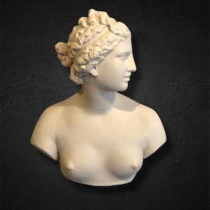Aphrodite Statue, Aphrodite Wall Decor, Aphrodite Sculpture, Venus Statue, Greek Goddess Statue, Aphrodite Wall Statue, Greek Mythology Gift