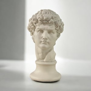 David Statue, David Sculpture Statue, Large David Bust Statue, Greek Bust Statue, Male Statue, Black David Statue, Mythologic Bust Statue