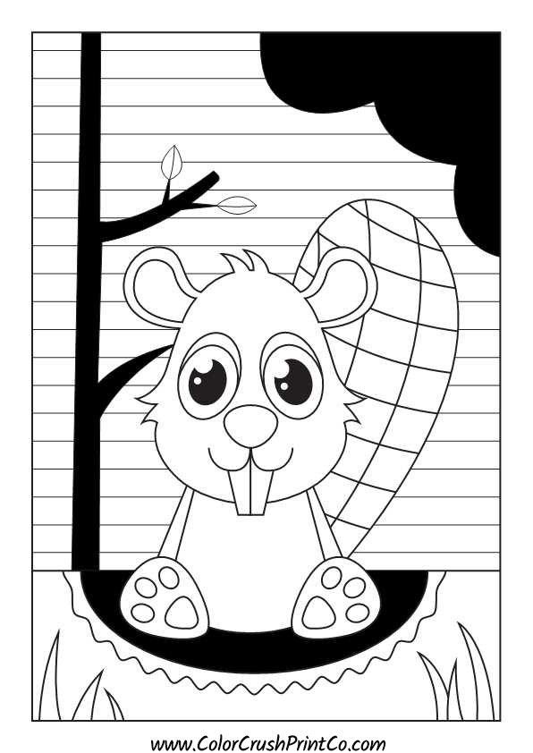 12 Pages Animal Coloring Book Pages Bundle 2 Download - Etsy Canada