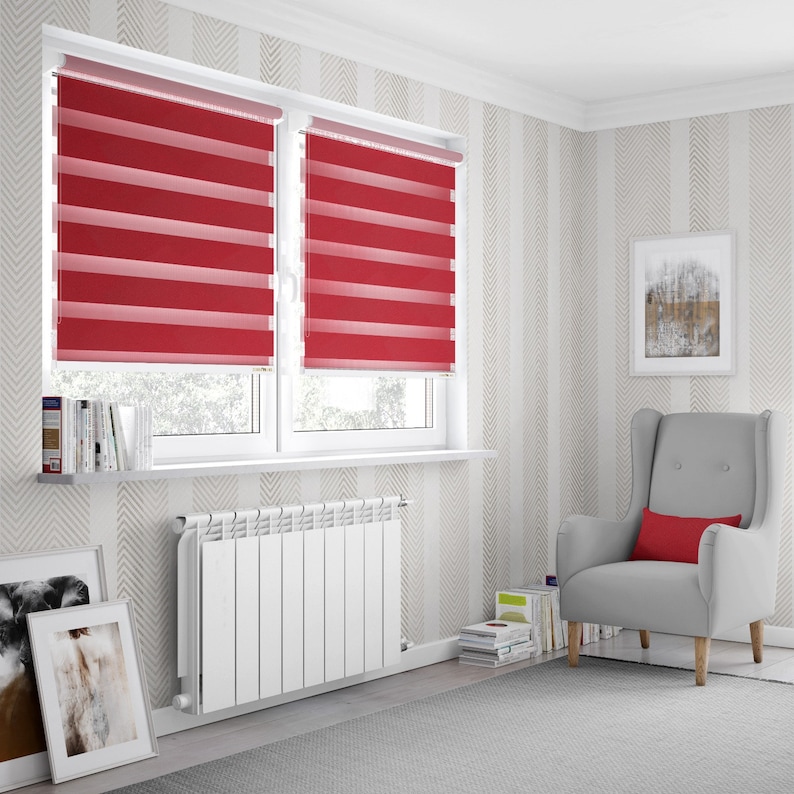 ZEBRA BLINDS Day and Night Blinds Window, Made to Measure, Customized