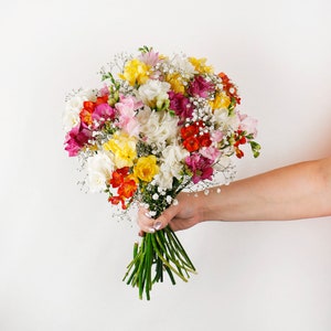 15 Mixed Freesias