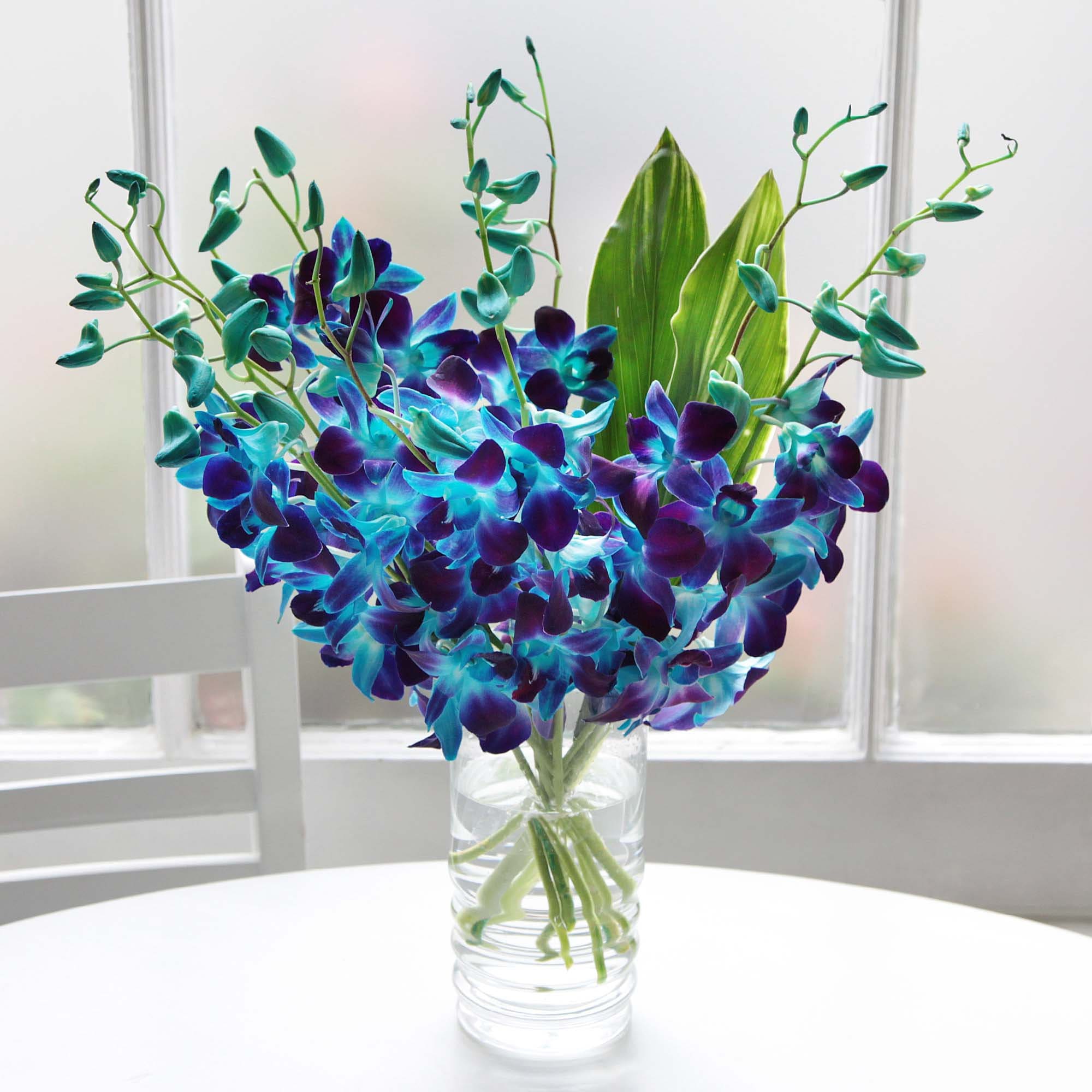 Buy 12 Stems of Fresh Cut Imported Electric Blue Orchids Online in India 