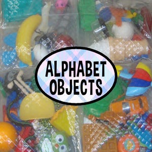 May include: A collection of small plastic miniature objects organized in clear plastic bags, featuring a yellow banana, a taco, a waffle, an orange car, and an owl. A central oval label with a blue plaid background displays the text ALPHABET OBJECTS.