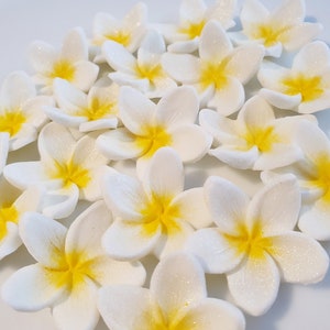 Edible White Sugar Plumeria Flowers with a Yellow Centre