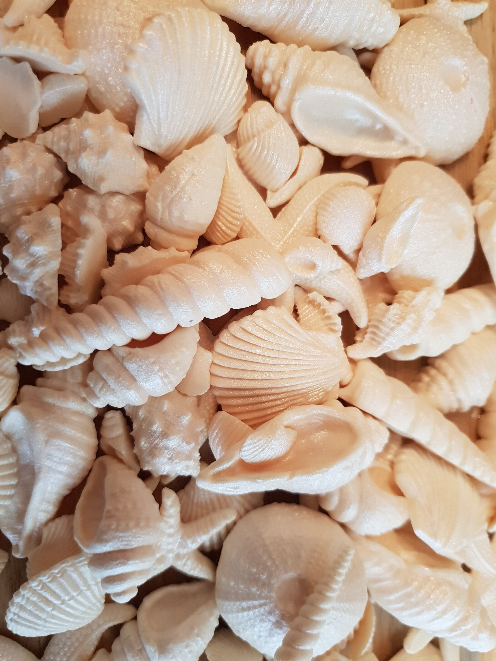 Edible Sugar Seashells and Starfish in Cream Etsy