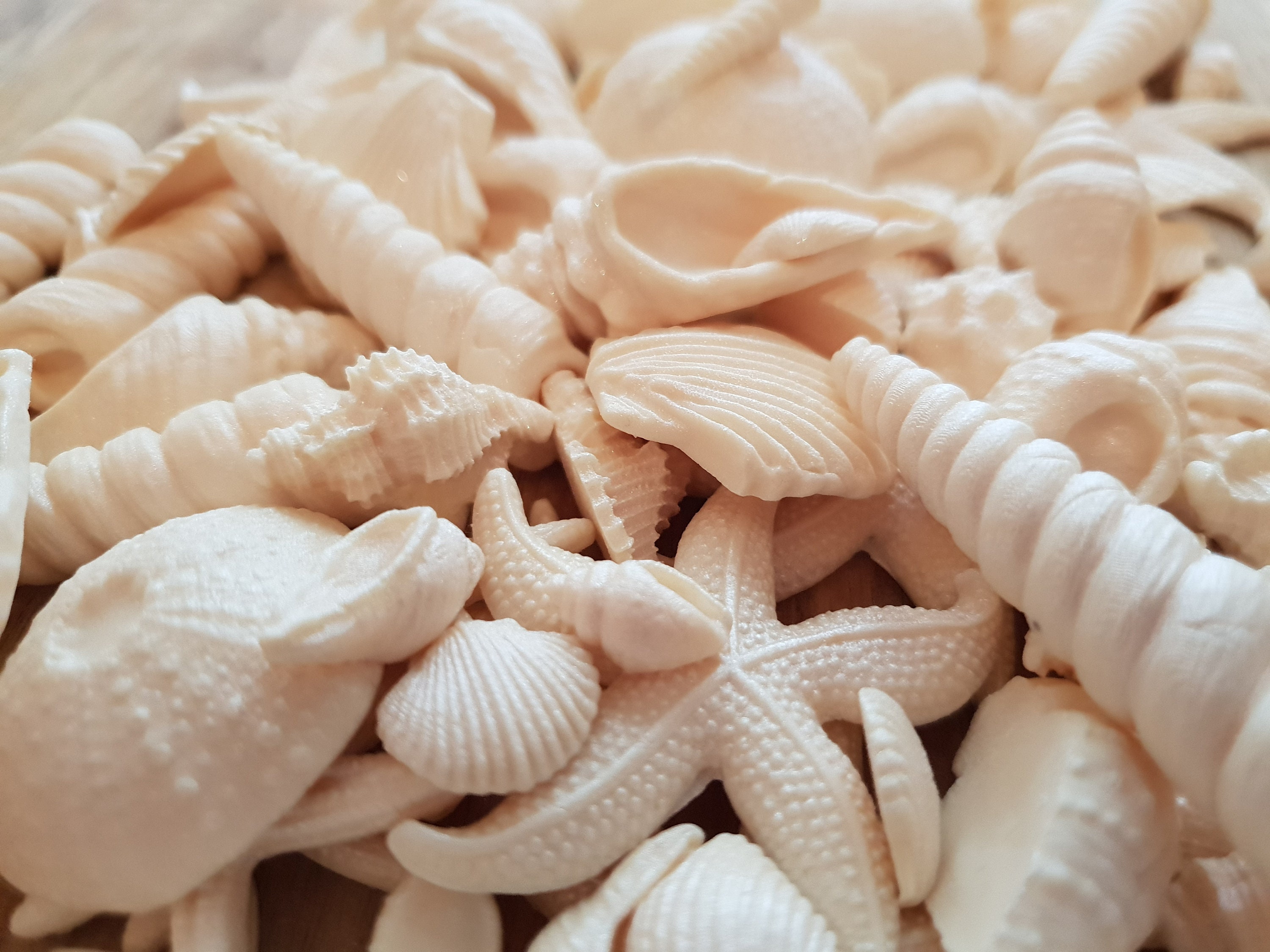Edible Sugar Seashells and Starfish in Cream Etsy