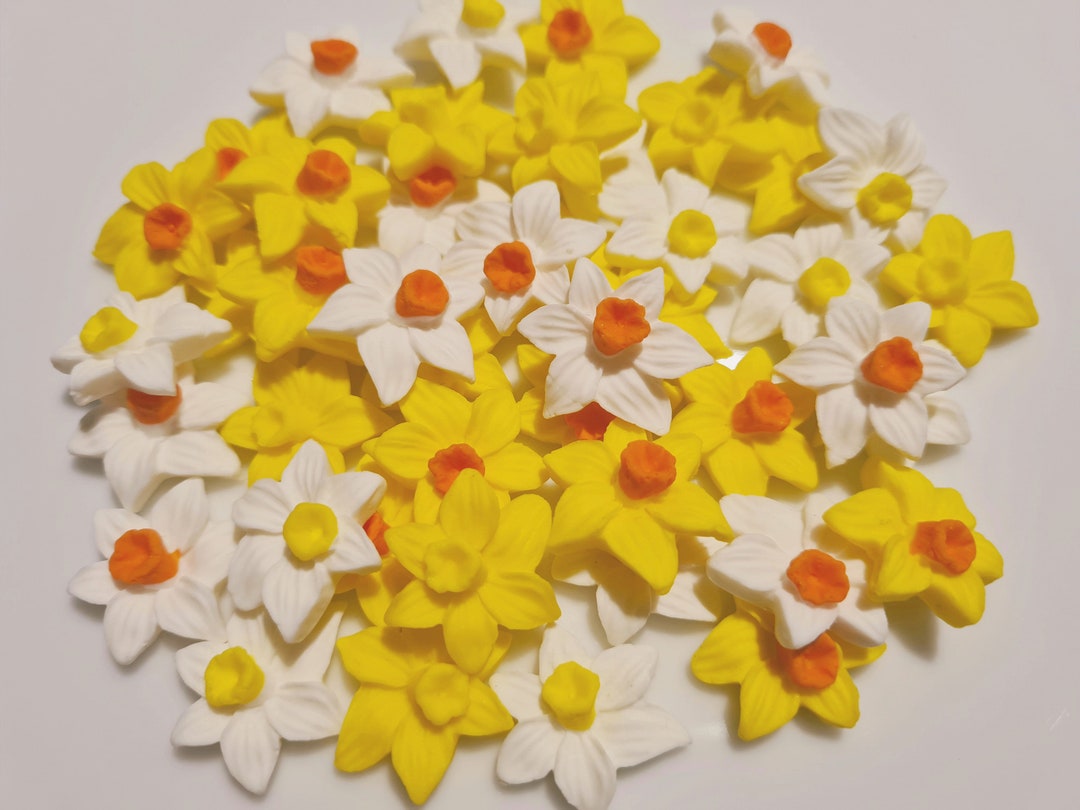 Edible Sugar Daffodils Etsy