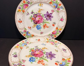 Vintage Schumann Dresden Bavaria bloemenborden • Set van 3 • Duits porselein • Cottagecore servies • Vergulde dessertborden