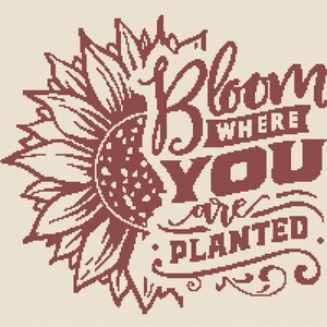 Op de afbeelding: Kruissteekontwerp met een zonnebloem en de tekst "Bloom Where You Are Planted". Het ontwerp gebruikt bruine en crèmekleuren, en het lettertype is een rustieke schreef, wat een vintage, handgemaakt gevoel geeft.