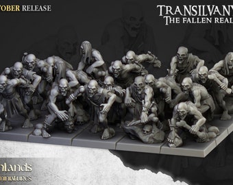 May include: A set of 18 grey plastic miniature figures of undead creatures, posed in a variety of attacking stances. The figures are part of a tabletop game called "Transilvanya: The Fallen Realm".