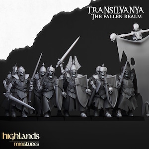 Może przedstawiać: Grupa siedmiu szkieletowych wojowników, każdy w kapturze i kolczugach, trzymających miecze i tarcze. Wojownicy są ustawieni w formacji bojowej, gotowi do walki. Obraz jest w odcieniach szarości i ma ciemne tło. Tekst "TRANSILVNYA THE FALLEN REALM" znajduje się w górnej części obrazu.
