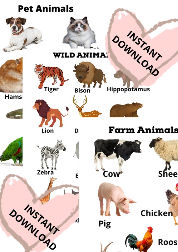 Animals Print for Kids Early Learning Pet Animals Farm - Etsy Animals Print for Kids Early Learning Pet Animals Farm - Etsy