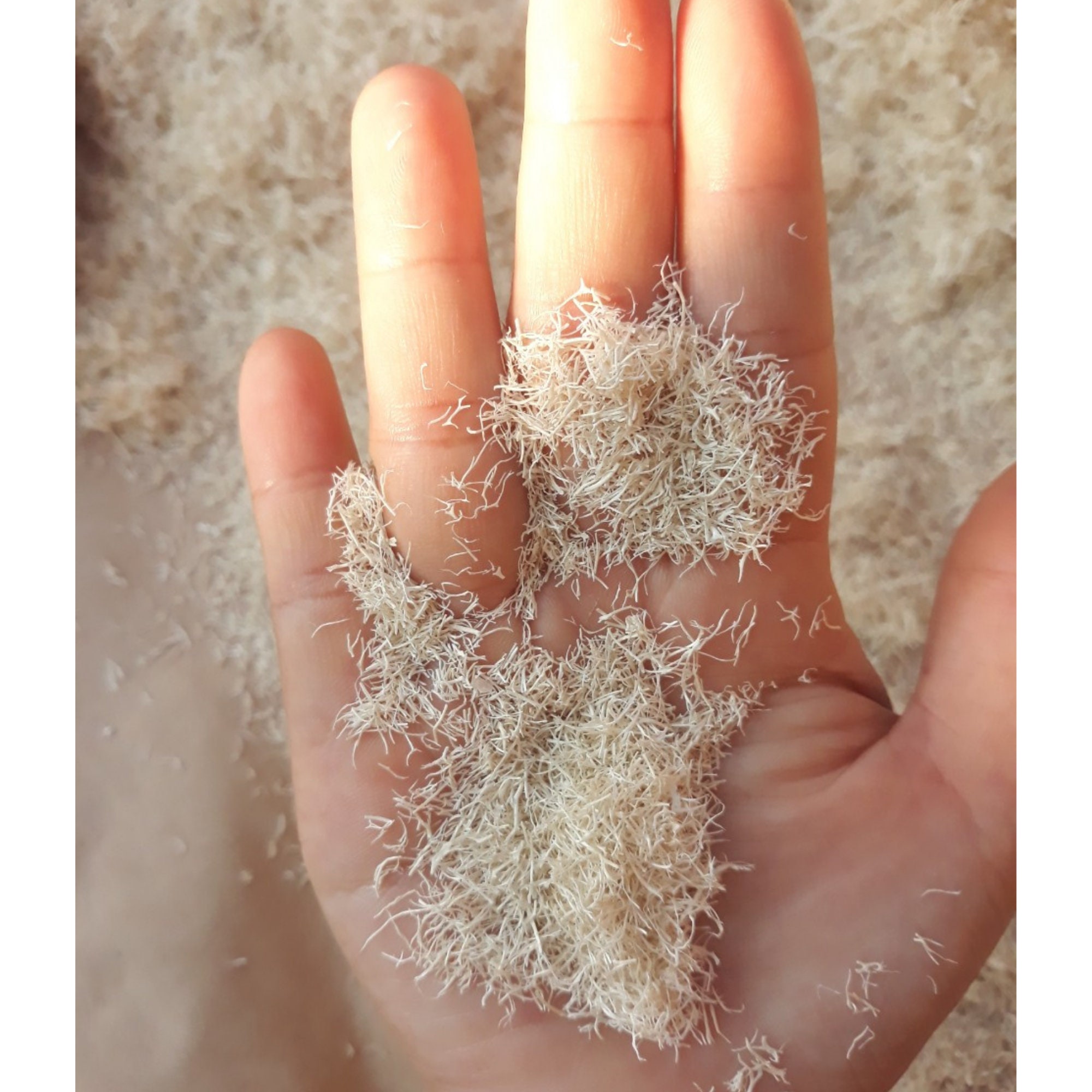 3 OZ Ground Loofah Powder Botanicals Additives For Soap Etsy