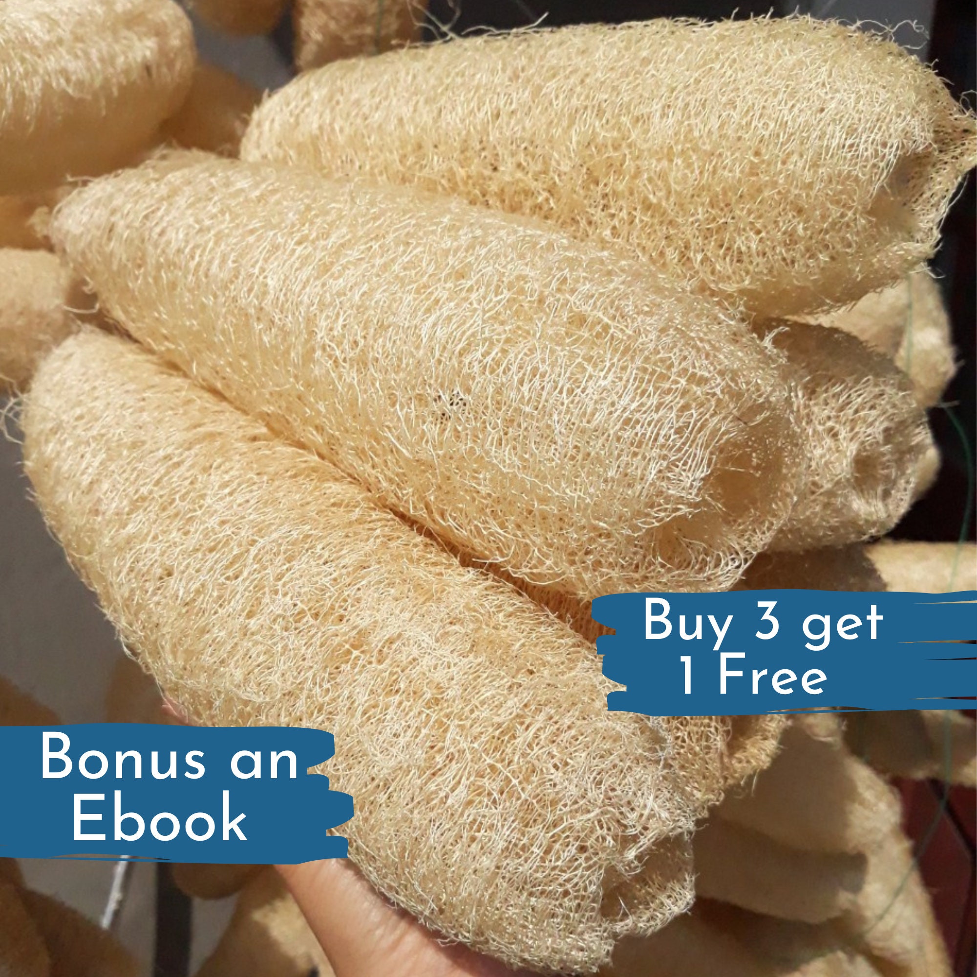 bestemt justering Envision Whole Loofah 3 Pcs Natural Loofah Sponge Bulk Loofah Dish - Etsy