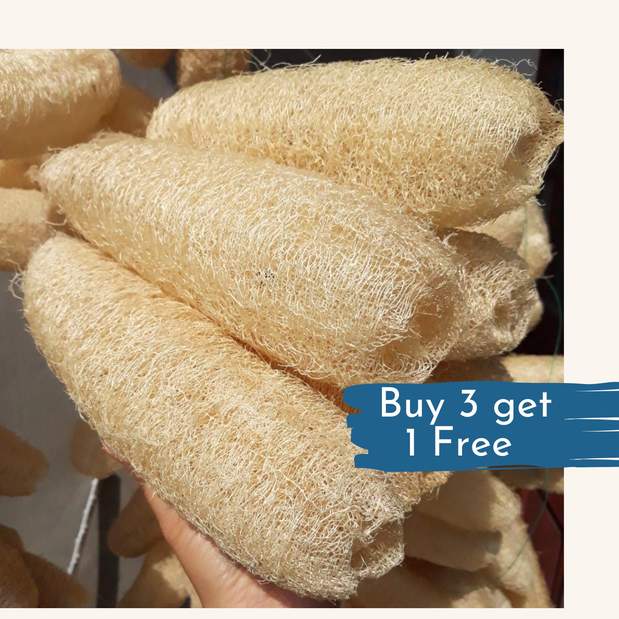 BULK 100 7/8" LOOFAH Cuts, Free USA Ship, Natural Sponge Exfoliant