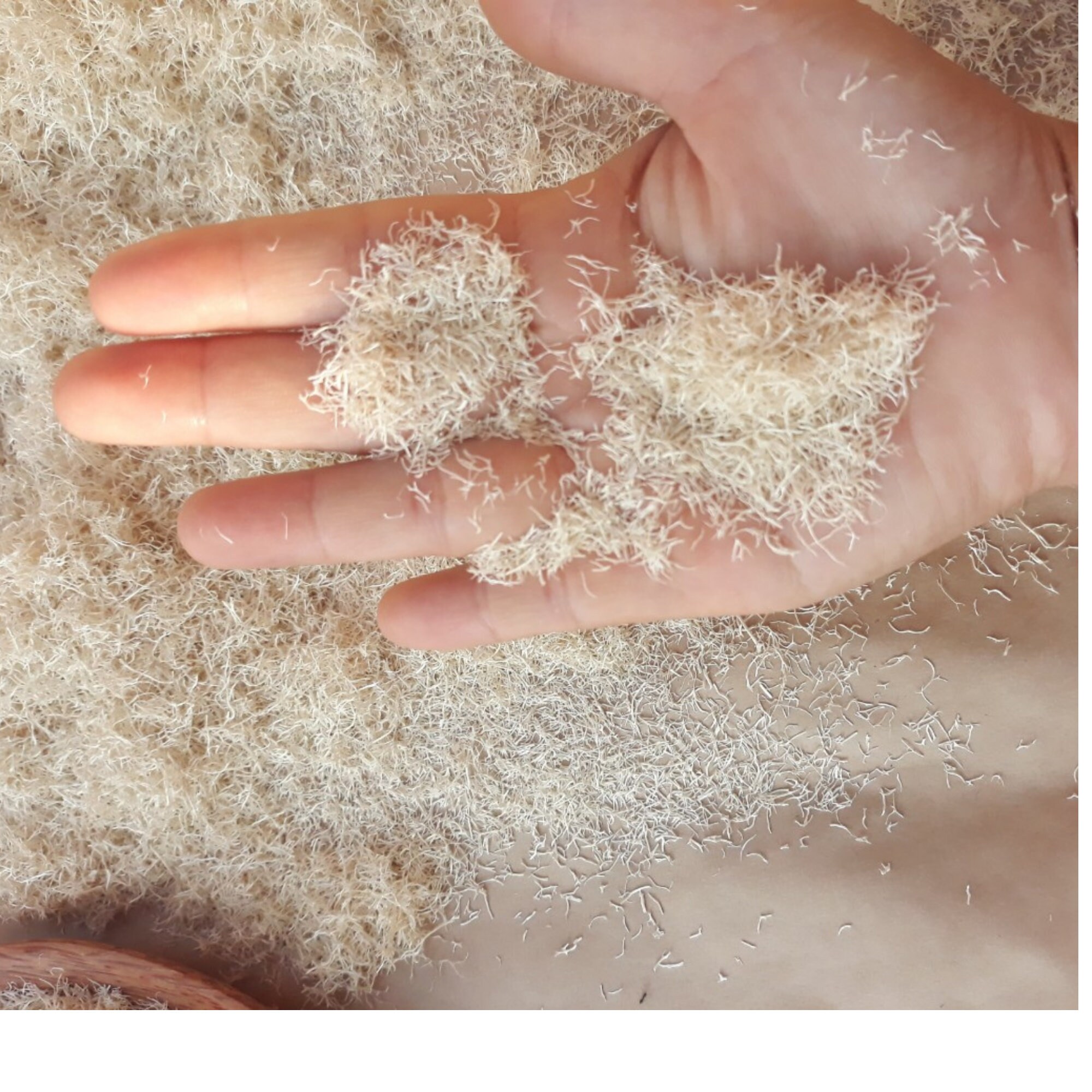 4 Oz Ground Loofah Powder Botanicals Additives for Soap Etsy