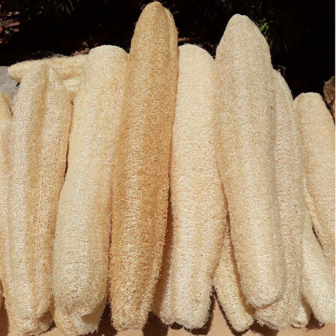 Whole loofahs 4 Pcs Loofah Sponge Bulk Loofah Natural Etsy
