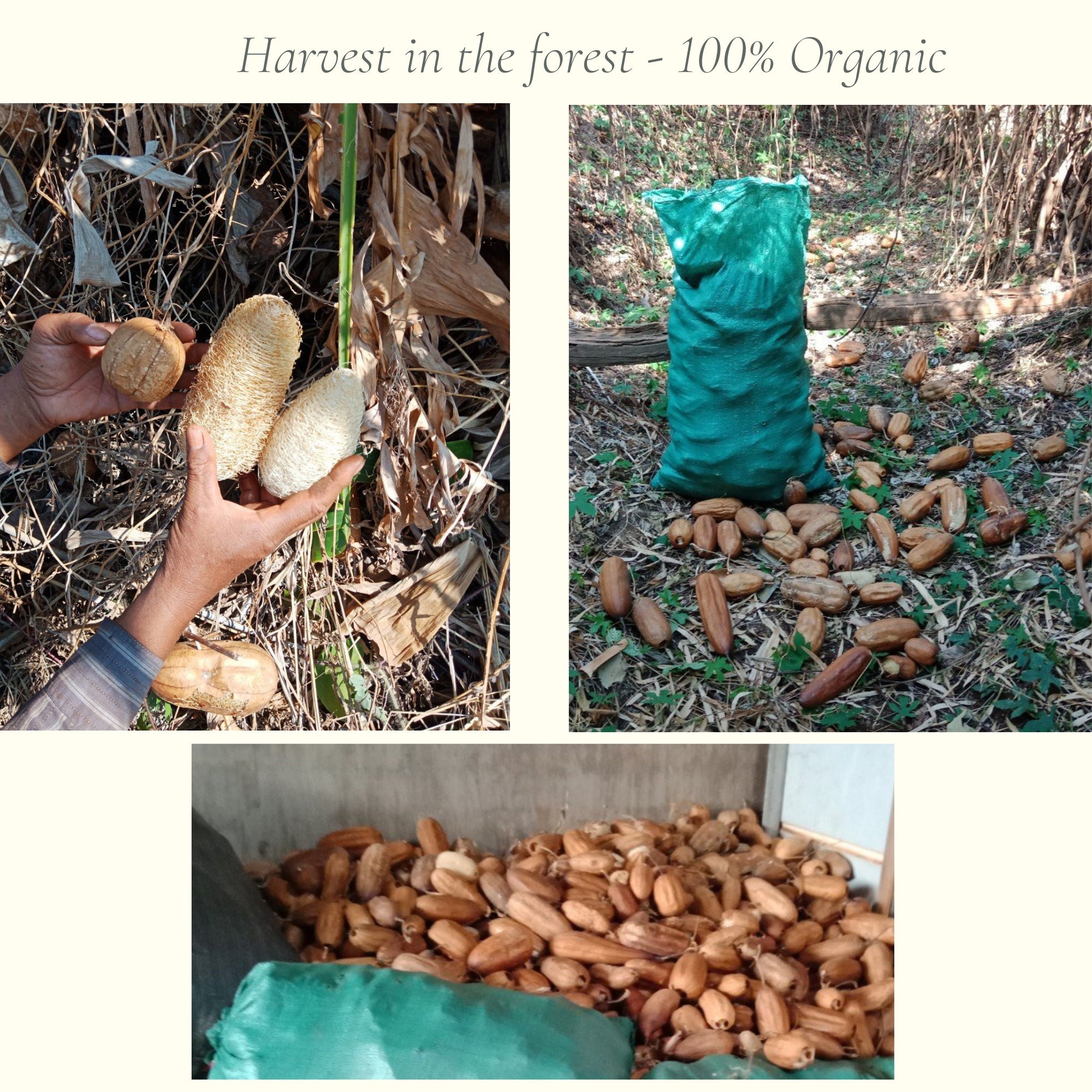 4 Oz Ground Loofah Powder Botanicals Additives for Soap Etsy