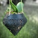 Orchid Planters