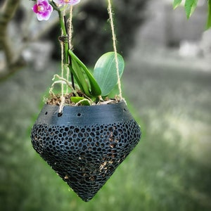Hanging Orchid Pot