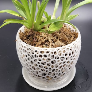 Large Orchid Pot With Saucer In Quartz White