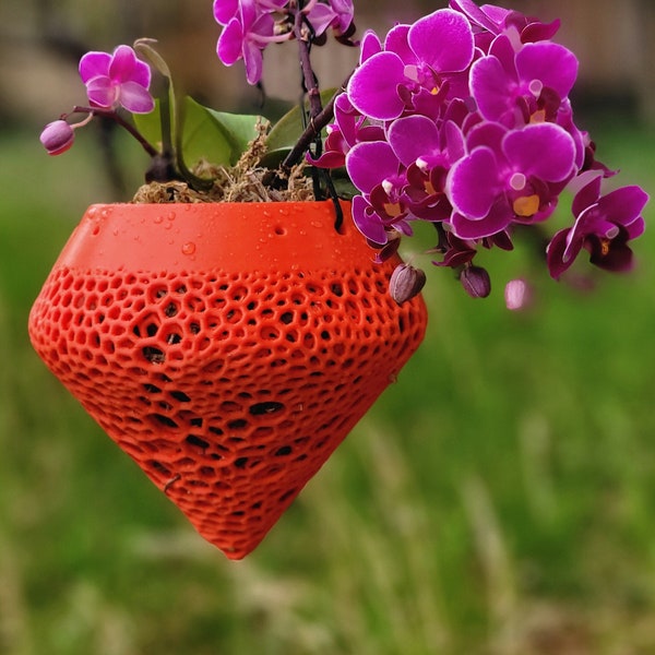 Strawberry Red Hanging Orchid Pot