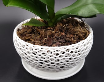 Large Bowl Orchid Pot