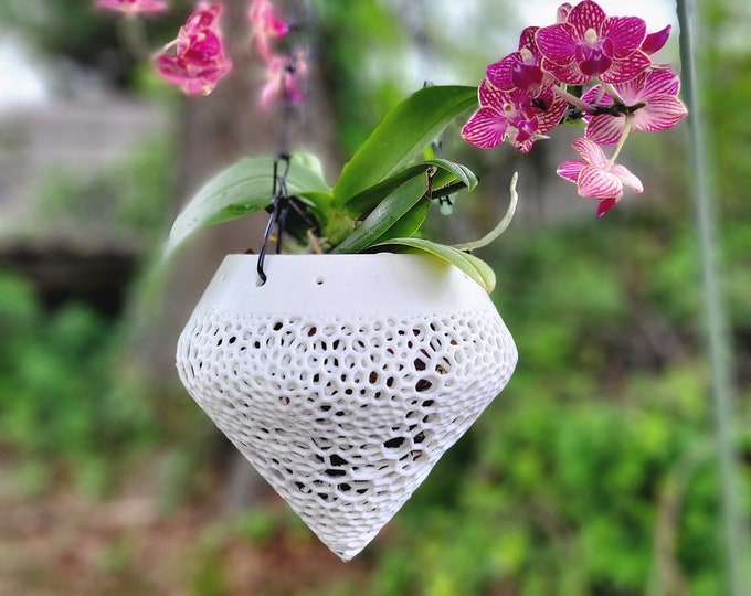 Arctic White Hanging Orchid Pot