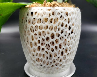 Tall Orchid Pot with Saucer