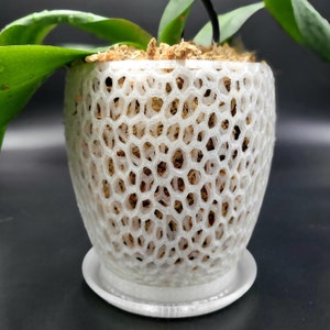 Tall Orchid Pot with Saucer