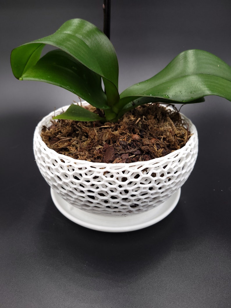 May include: A white, 3D printed, spherical planter with a geometric pattern. The planter has a matching saucer and is filled with brown potting soil and a green orchid plant.