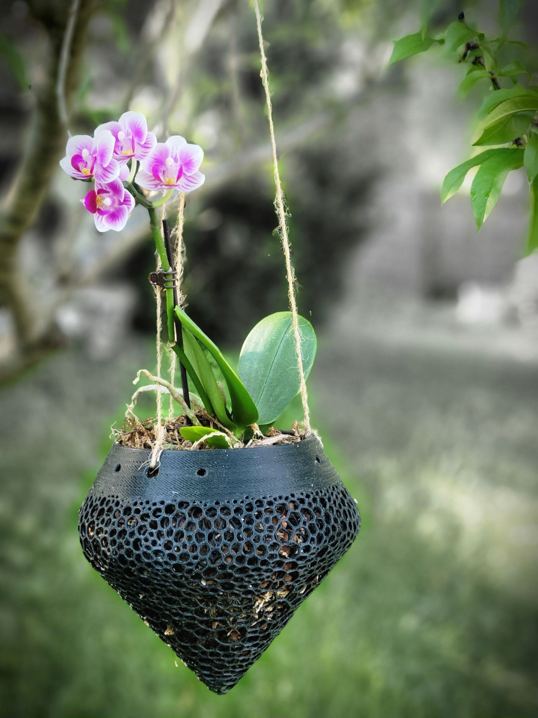 Orchid pots for sale discount