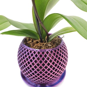 May include: A purple orchid plant in a decorative, geometric, purple, metal planter with a matching saucer. The planter has a diamond pattern.