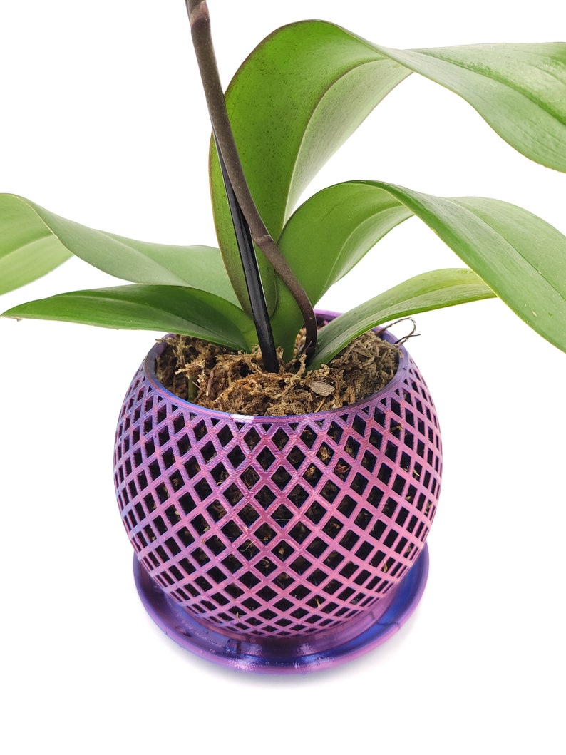 May include: A purple orchid plant in a decorative, geometric, purple, metal planter with a matching saucer. The planter has a diamond pattern.