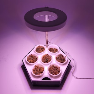 Modular Seed Starter Tray with Optional Grow Light
