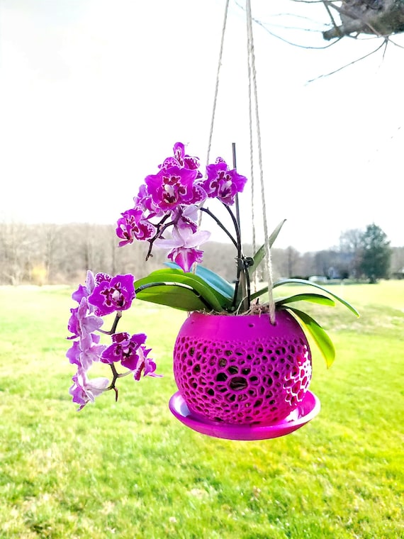 Hanging Planter With Drainage Tray for Orchids - Indoor / Outdoor - Etsy  Israel