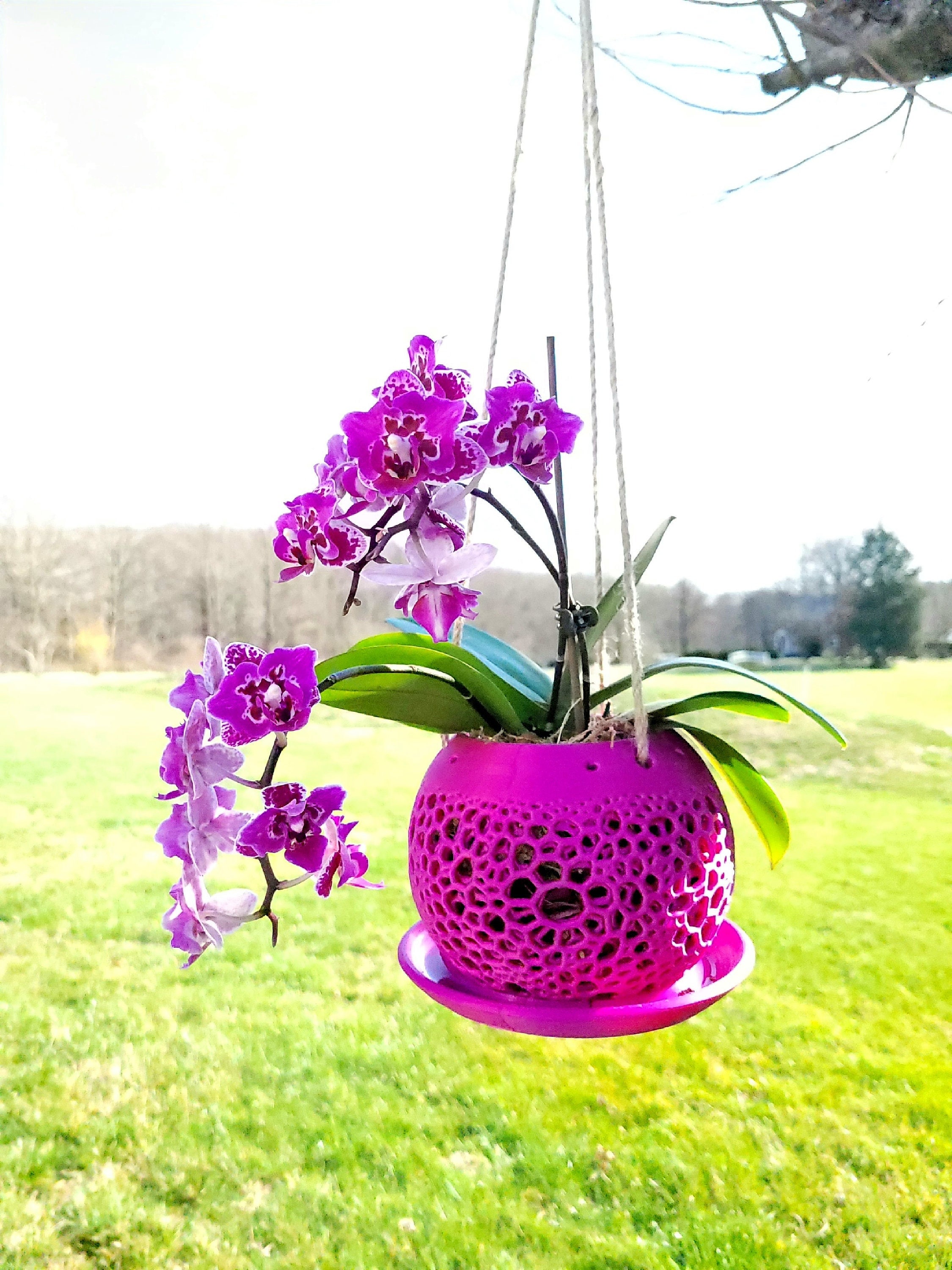 Hanging orchid planter discount