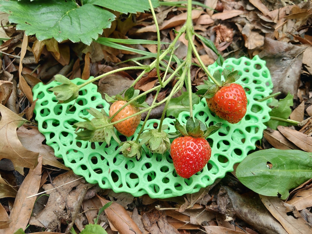 Strawberry Riser/saver (set of 2) - Etsy